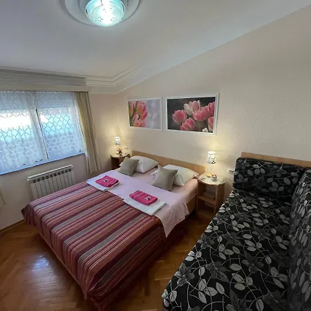 بيت شباب Dino *