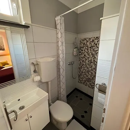 بيت شباب Dino